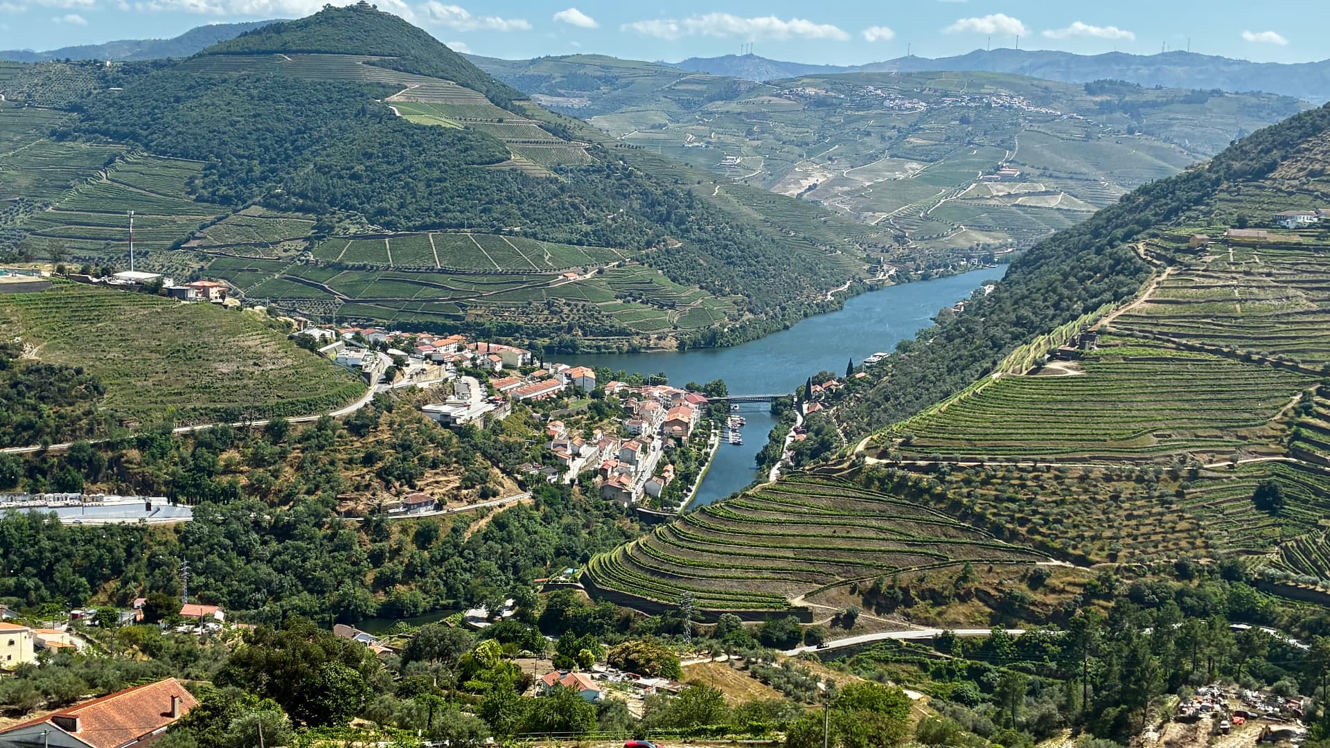Douro Valley terraced vineyards above the river